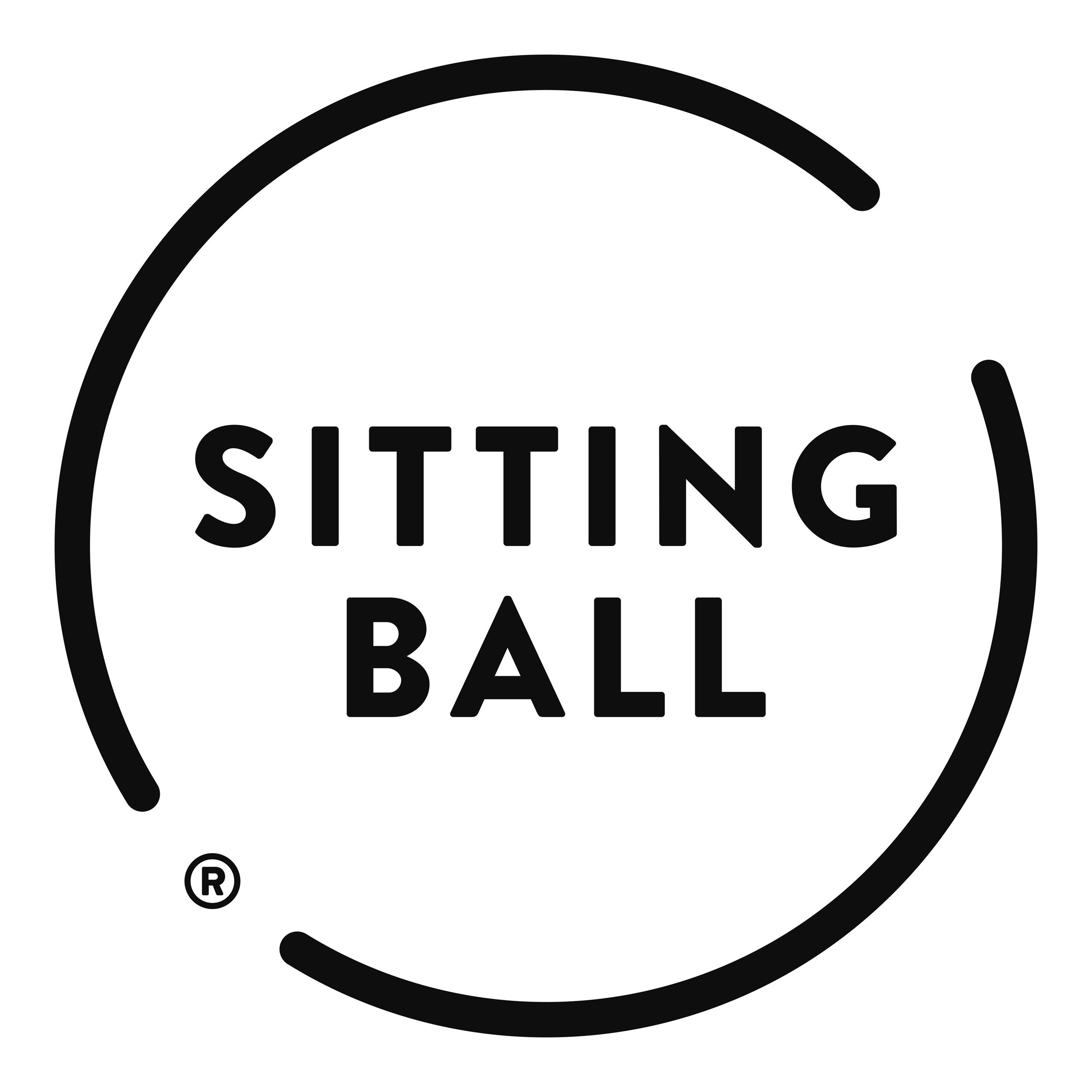 Sitzball image number null